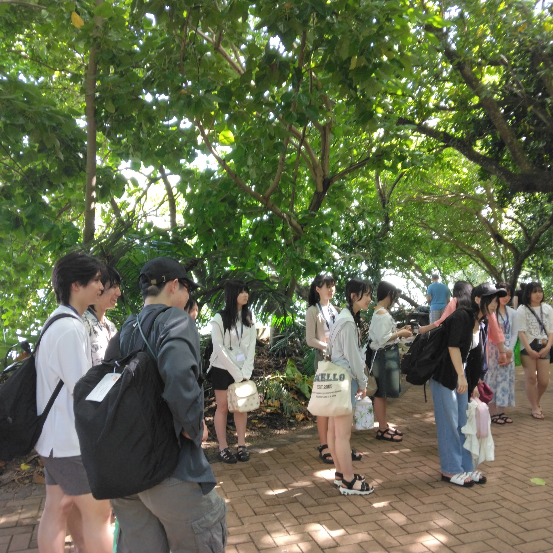 Nature Study at Green Island④